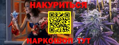 гашик Берёзовский