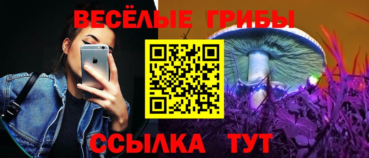 Галлюциногенные грибы мухоморы Коломна